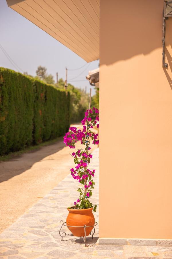 Kourouta Villas Amaliada Exteriör bild